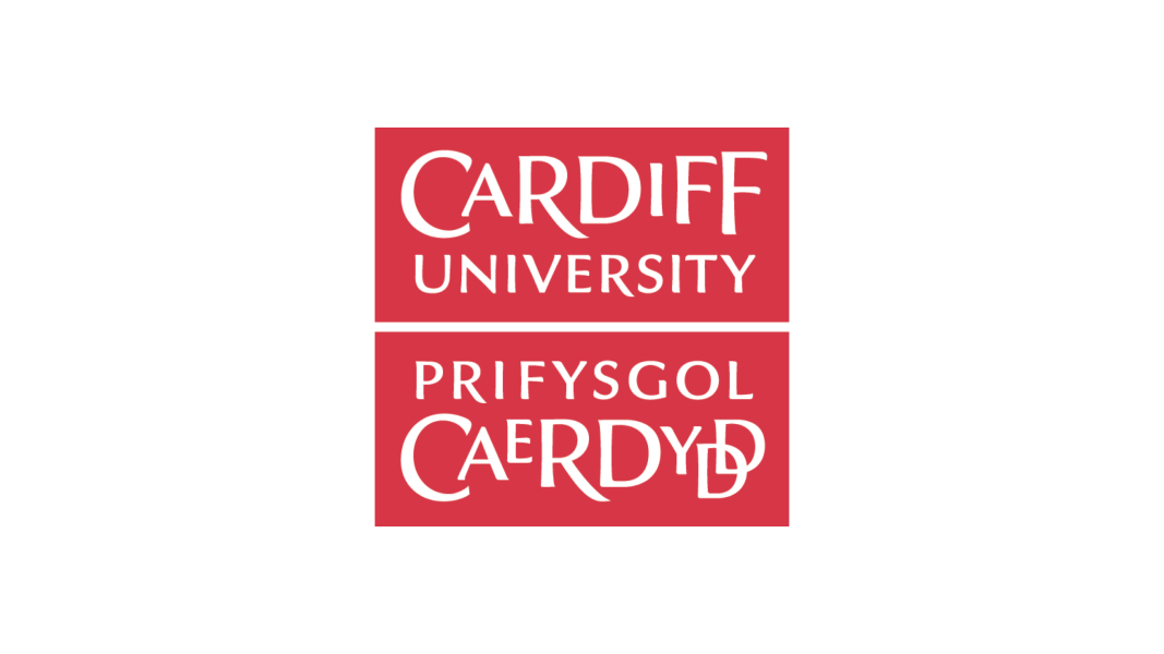 Cardiff University MEG lab logo