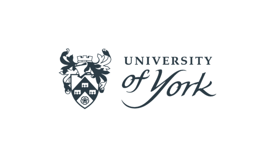 University of York MEG lab logo